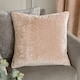 image 1 of Paoletti Lustre Velvet Cushion | Cream | Oyster