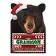 image 3 of Hallmark Grandson Christmas Card 'Very Beary'