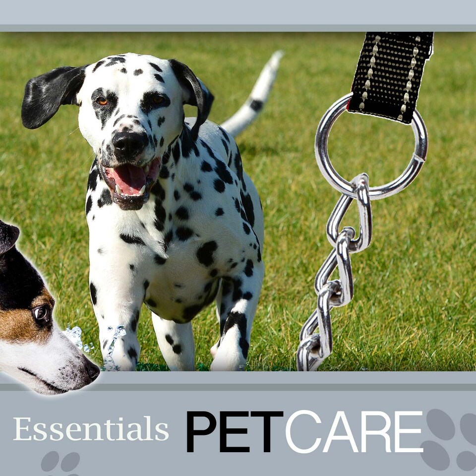 image 1 of PMS Crufts Reflective Chain Lead 1.2m Brown