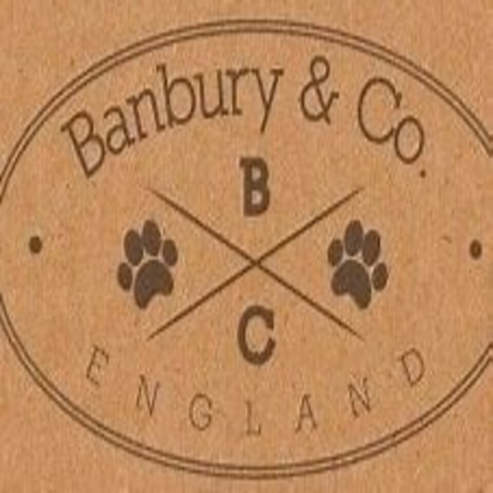 image 1 of Banbury & Co Luxury Cosy Cat Bed N/A | One Size