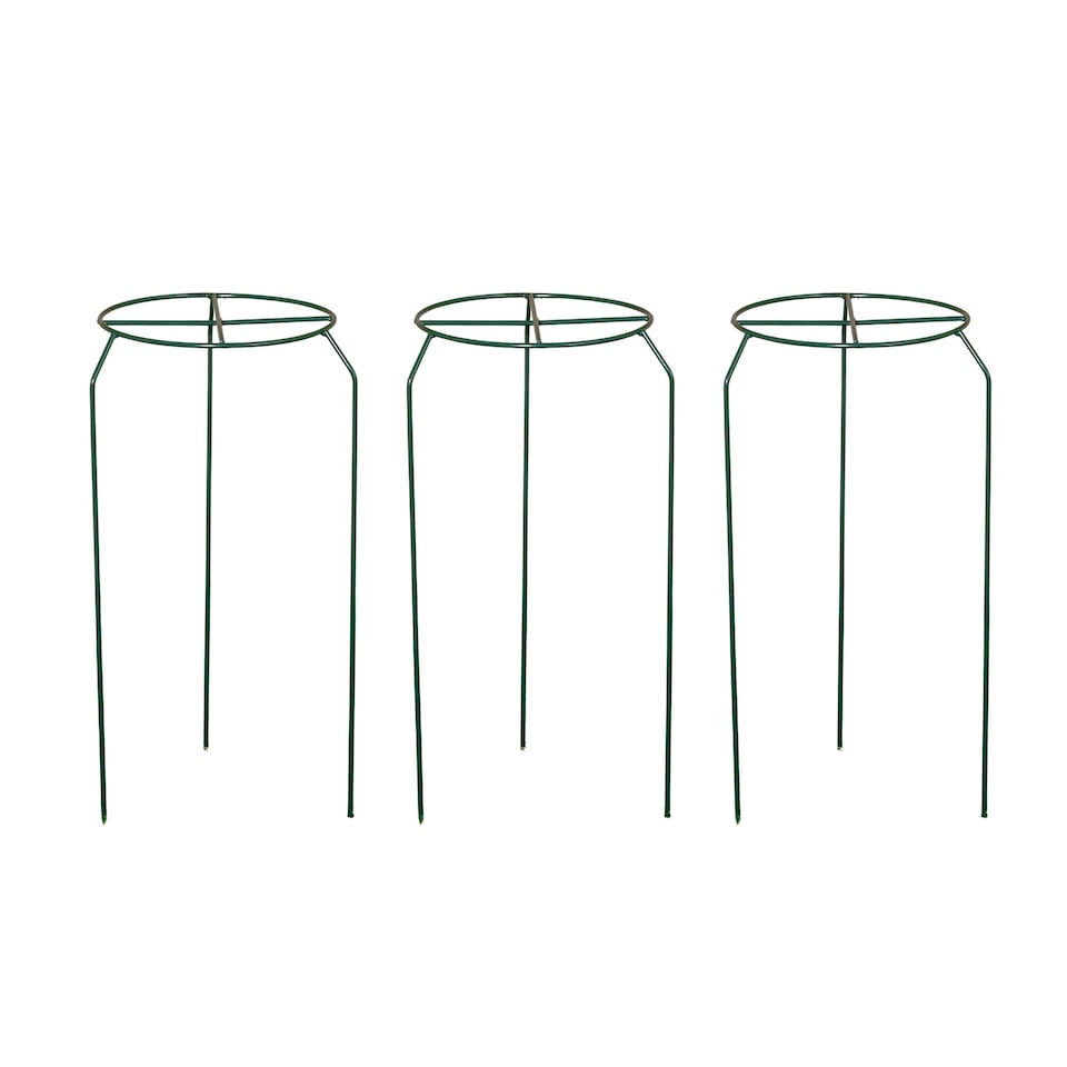 image 1 of Pack of 3 Tom Chambers Urban Dark Green Metal Herbaceous Garden Plant Support Grow Through Small 40cm x 20cm