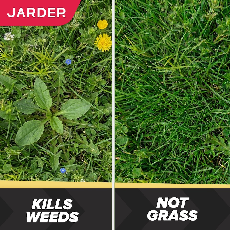 image 1 of Jarder Lawn Weed Killer Spray 2 x 5L