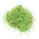 image 2 of Gaugemaster Scenics Flower Meadow Scatter Material 50g (GM101)