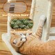 image 5 of Yaheetech 175 cm Plush Cat Tower with Condos Beige