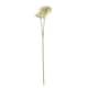 image 1 of Crown Hydrangea (Single Stem Flower) - Plastic - L16 x W18 x H71 cm - Pink