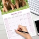 image 5 of Irish Setter 2026 Calendar | Square Wall Calendar | Dog Breed Gift | Plastic Free Packaging | by Avonside Publishing