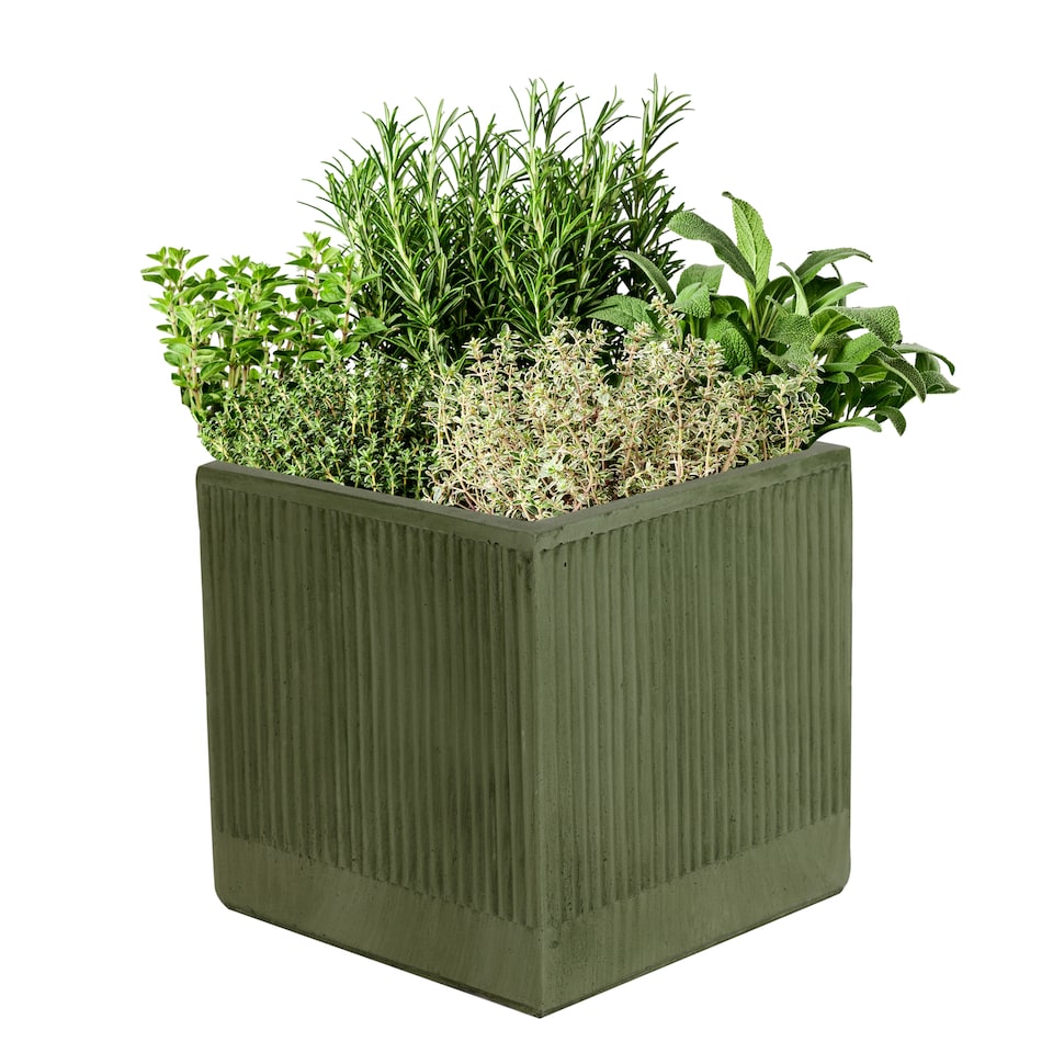 image 1 of Dibor Small Fibre Clay Outdoor Garden Planter – Sage Green