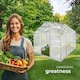 image 8 of Aluminium greenhouse with foundation, 185x250x195cm