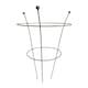 image 1 of Pack of 2 Tom Chambers Herbaceous Bare Rusted Steel Garden Plant Support Medium 54cm x 40cm