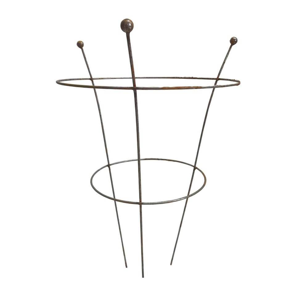 image 1 of Pack of 2 Tom Chambers Herbaceous Bare Rusted Steel Garden Plant Support Medium 54cm x 40cm