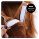 image 5 of Pack of 1 England Set - Lion Mane & Face Paint Red | One Size