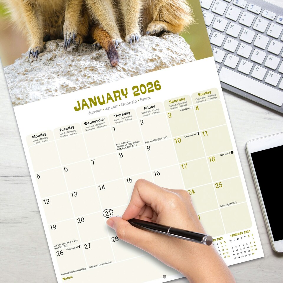image 1 of Meerkats 2026 Calendar | Square Wall Calendar | Animal Gift | Plastic Free Packaging | by Avonside Publishing