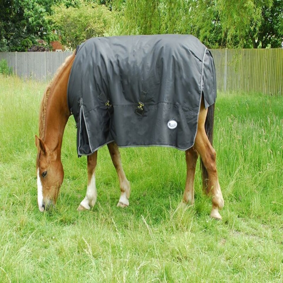 image 1 of Rhinegold Konig Outdoor Rug Black | Size: 5ft 6
Colour: Black