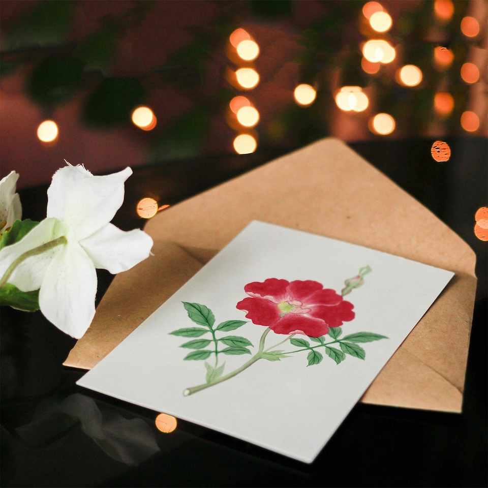 image 1 of Vintage Japanese Botanical Art Card Red Flower