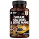 image 1 of Shilajit, Sea Moss & Lion's Mane Capsules - Mood & Anxiety Support - Vegan 120 Capsules