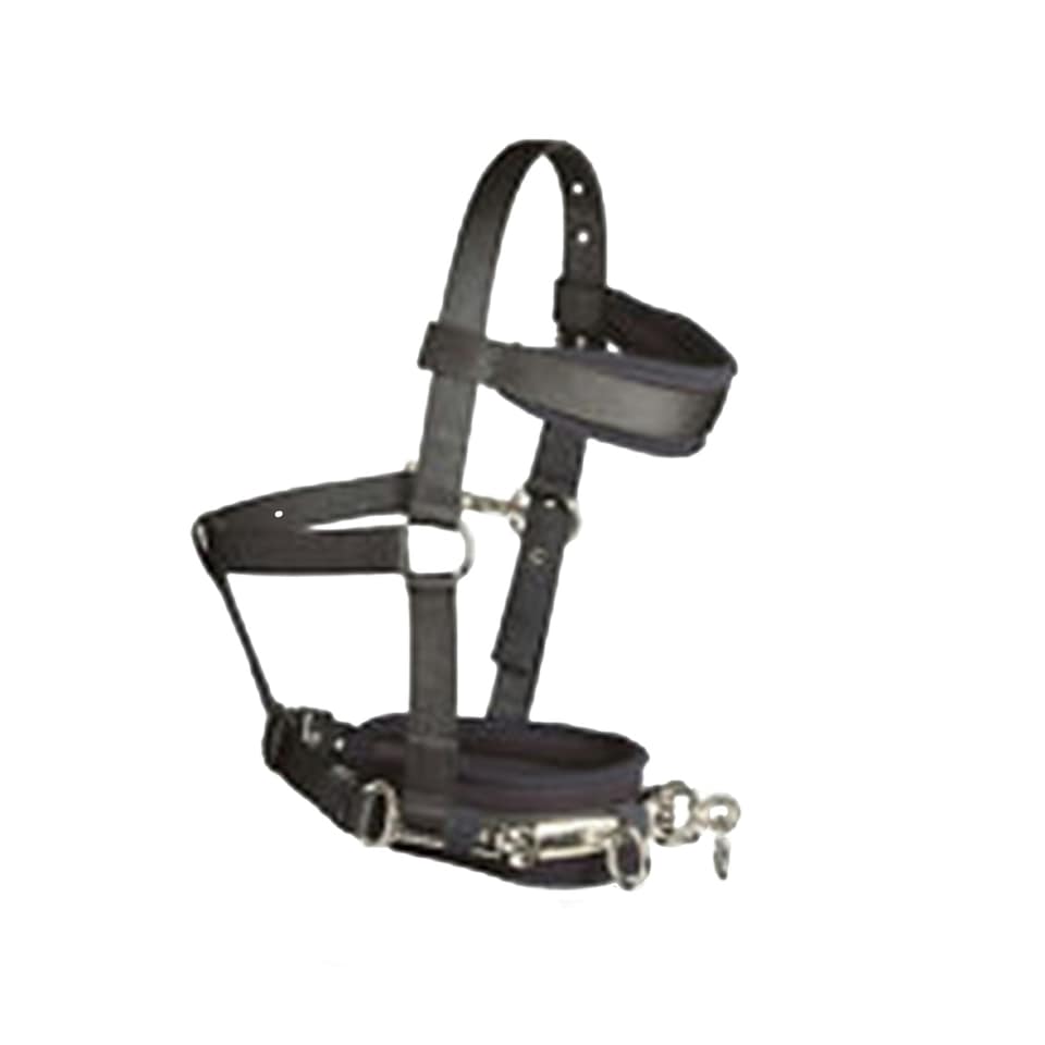 image 1 of Hy Lunge Cavesson - Black - Large