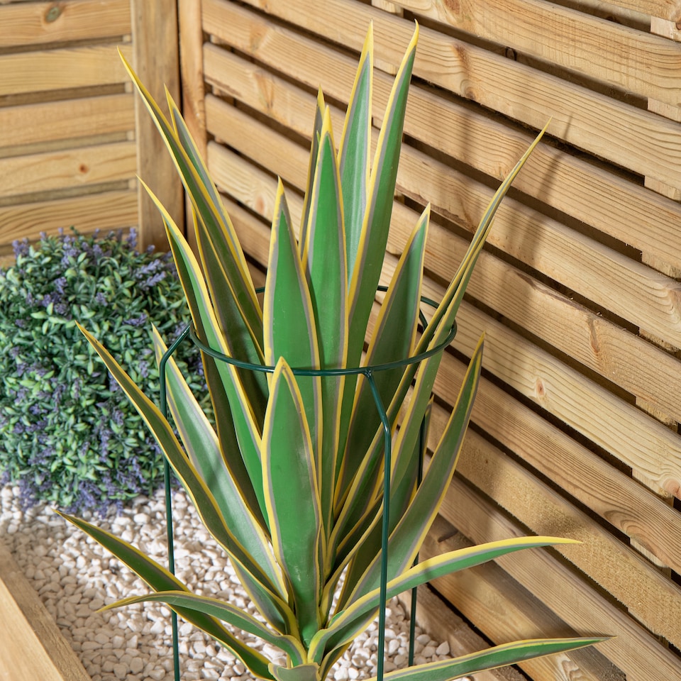 image 1 of Pack of 3 Tom Chambers Green Metal Herbaceous Garden Plant Support Rings Small