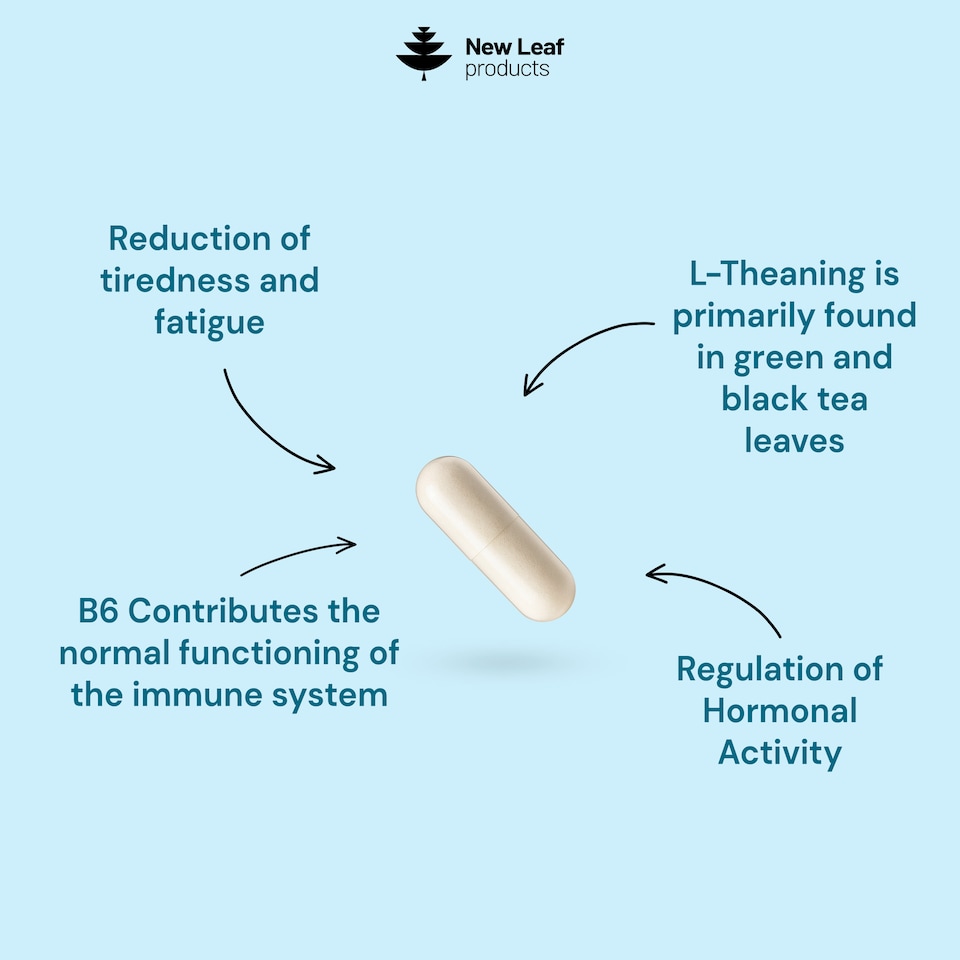 image 1 of L-Theanine Plus Vitamin B6 High Strength 400mg Capsule