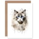 image 1 of Grey Point Ragdoll Watercolour Animal Cat Lover Greeting Card