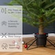 image 4 of Neo Christmas Tree Stand for Real Trees up to 8ft Extra Large Heavy Duty Metal Base | Black | Black