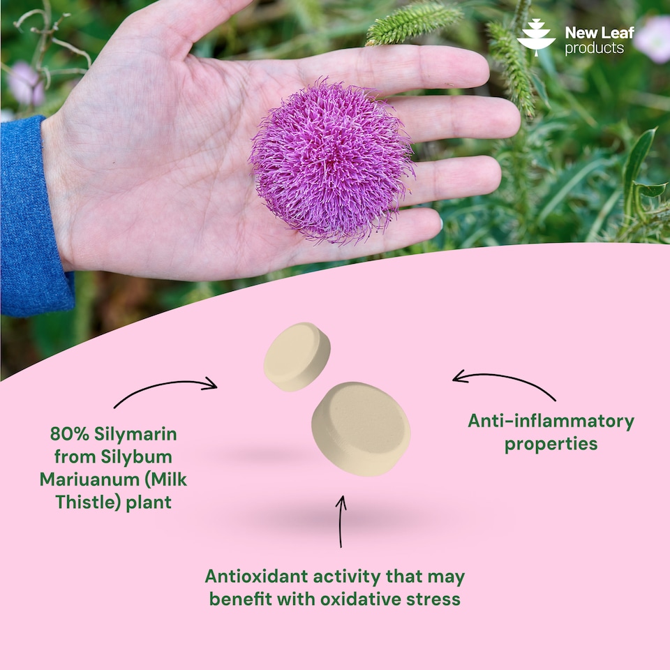image 1 of Milk Thistle Tablets 4000mg - 80% Silymarin High Strength