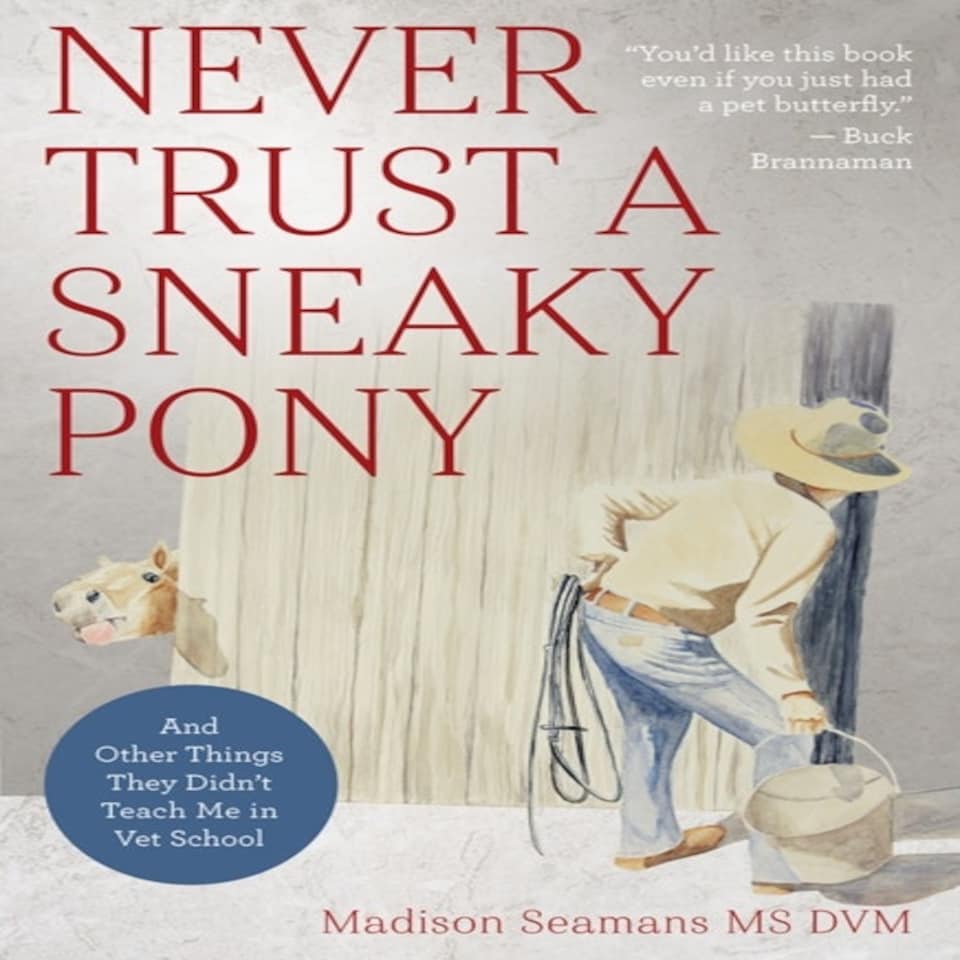 Never Trust A Sneaky Pony