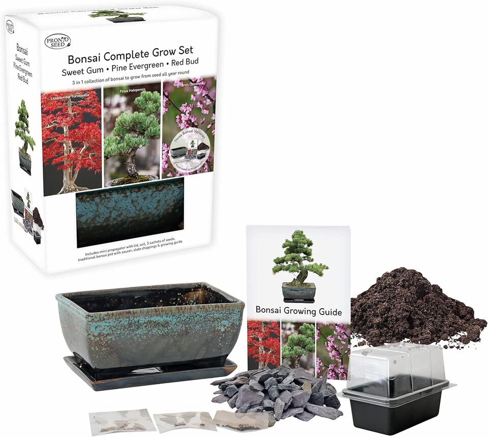 image 1 of Pronto Seed Bonsai Tree Kit with Traditional Bonsai Pot & 3 Bonsai Seed Varieties - Grow Your Own Bonsai - Gardening Gifts for Men
