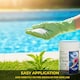 image 5 of 1 Kg Chlorine Granules Water Treatment for Rapid Disinfecting and Cleaning of Hot Tub Spa and Swimming Pool