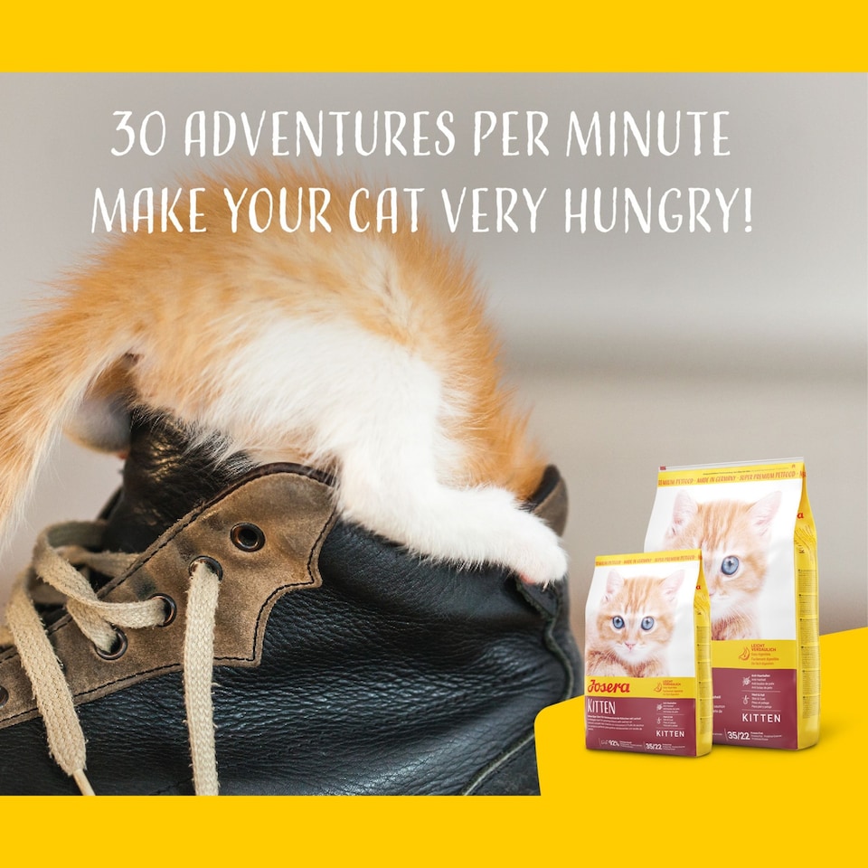 image 1 of Josera Kitten complete food | Growing kittens | Pregnant & nursing mothers | Optimal development | Omega 3 | Anti-Hairball | Gluten free | Skin & Coat | 8x0.4kg