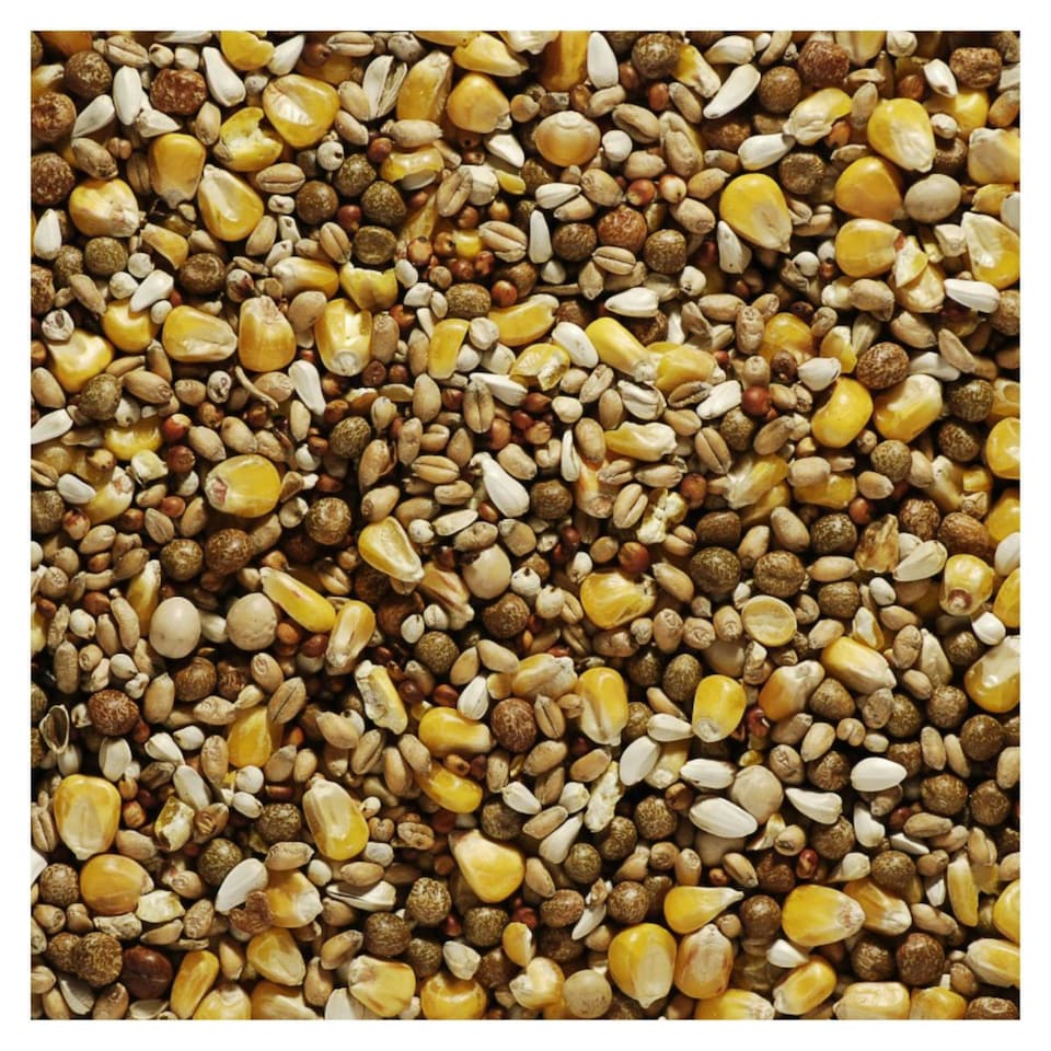 image 1 of Bucktons Best All Round 20kg Pigeon Food