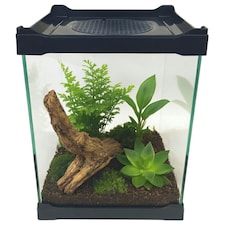 Betta Mini Terrarium 16cm x 16cm x 21cm
