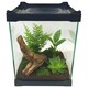 image 1 of Betta Mini Terrarium 16cm x 16cm x 21cm