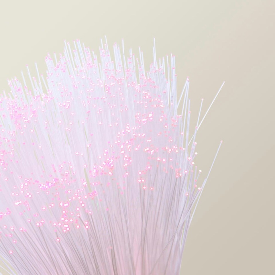 image 1 of ValueLights Fibre optic lamp Fibre optic lamp Clear White Illuminated Decoration and Integrated LED 1W Multicolour Bulb