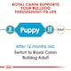 image 9 of Royal Canin Dog Bulldog Puppy 3KG