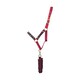 image 1 of Little Rider Riding Star Collection Horse Headcollar and Leadrope - Navy/Burgundy - Small Pony