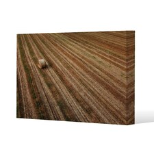 Aerial view of hay bale fields (Canvas Print) 114 x 77 x 4cm