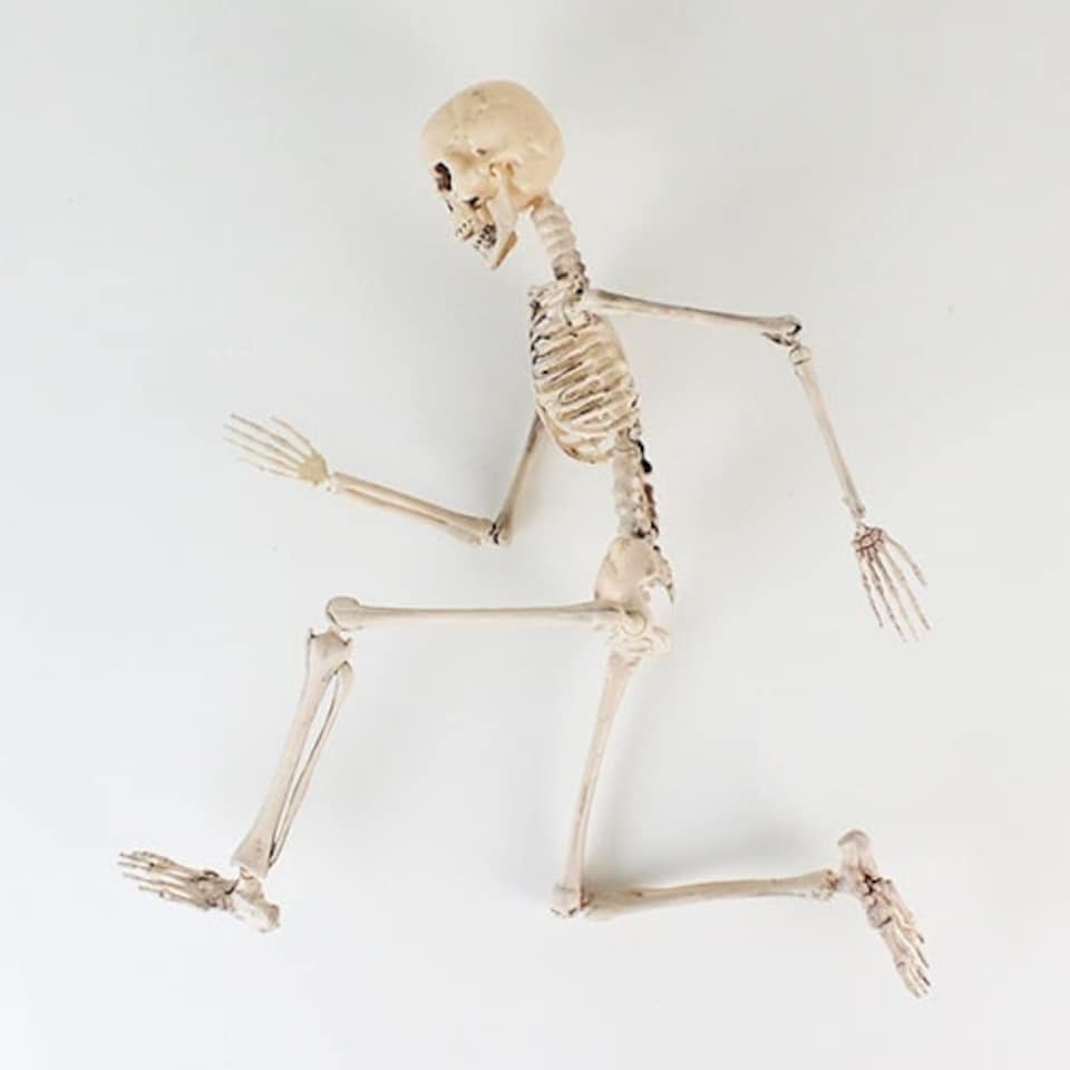 image 1 of Halloween Prop Movable Skeleton Hanging Decoration 50cm