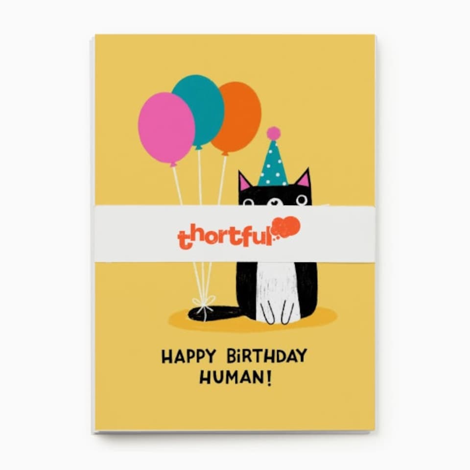 image 1 of Cat Birthday Card Pack – Box of 8 (4 Designs)