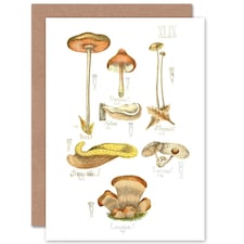 Fungus Fungi Mushrooms Concalus Oreades Botanical Greeting Card