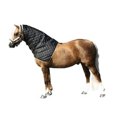 Supreme Products Show Quilted Horse Hood - Black/Gold - 14.2 Hands