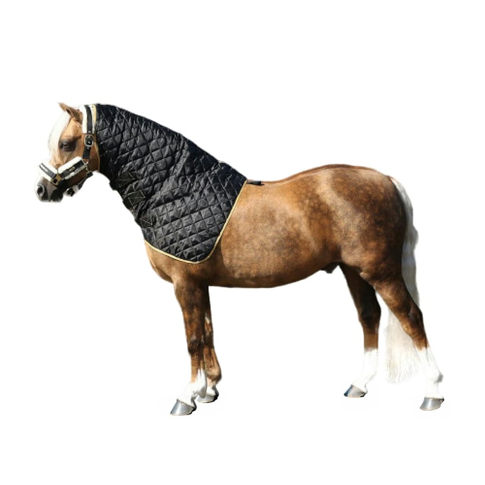 Supreme Products Show Quilted Horse Hood - Black/Gold - 14.2 Hands
