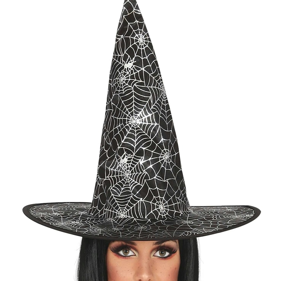 image 1 of Fancy Dress Adult Silver Witch - L