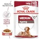 image 1 of Royal Canin Medium Ageing Over 10 Years Senior in Gravy Wet Dog Food - 10 x 140 g (1 kg)