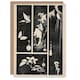 image 1 of Utagawa Hiroshige Japanese Art Card Nature Vintage Harimaze Sheet