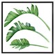 image 1 of Triple botanical (Picture Frame) Black | M