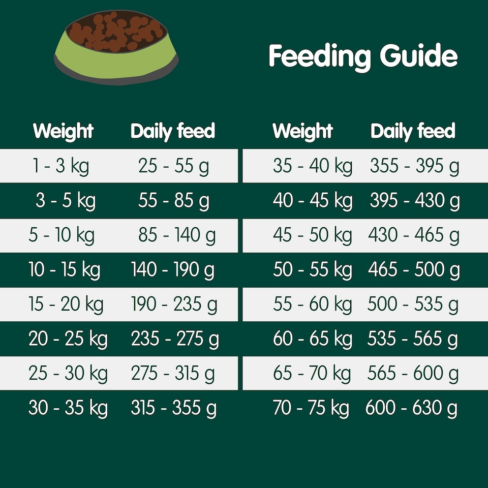 image 1 of Arden Grange Adult Dog Food With Fresh Chicken and Rice - 12kg