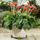 image 2 of Green Frog Plant Pot Feet - Set of 3 Green