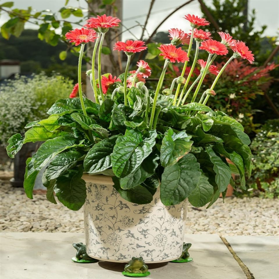 image 1 of Green Frog Plant Pot Feet - Set of 3 Green