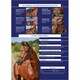 image 2 of Collegiate Comfitec Crystal Leather Bridle - Black - Full