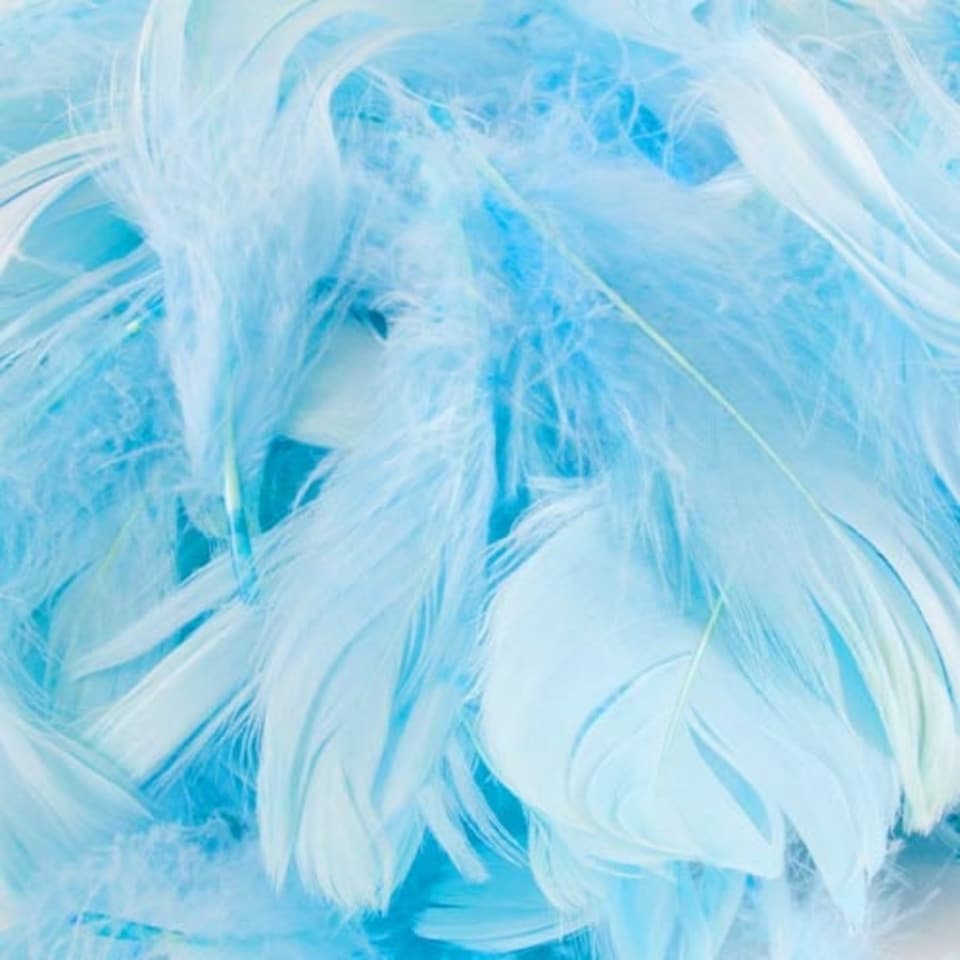 Baby Blue Eleganza Feathers 50g